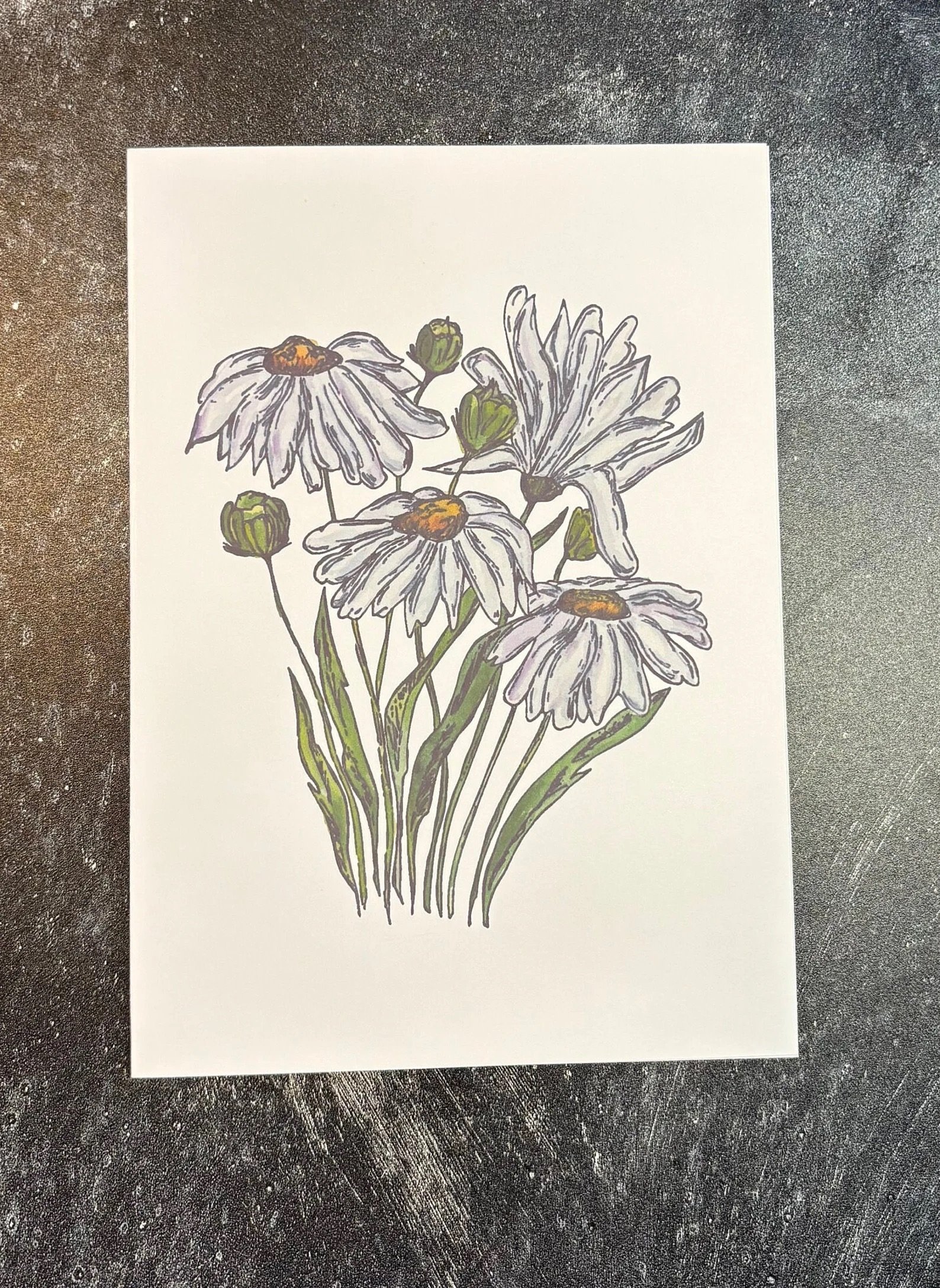 Daisy Greeting Card.jpeg