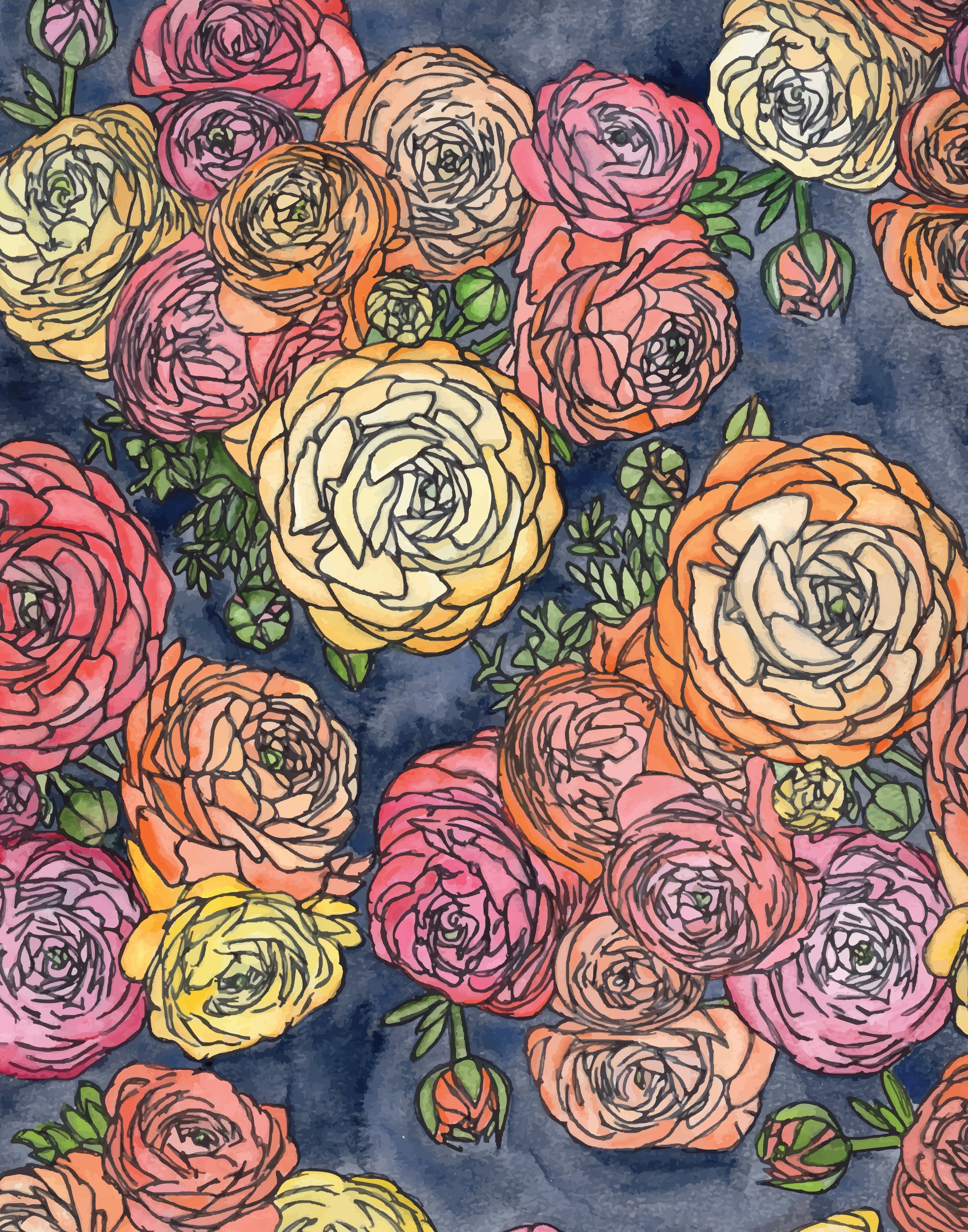 Ranunculus_11x14.jpg