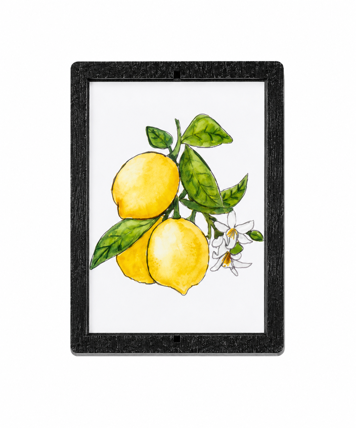 Abigail Leigh Designs Magnet Lemons.png