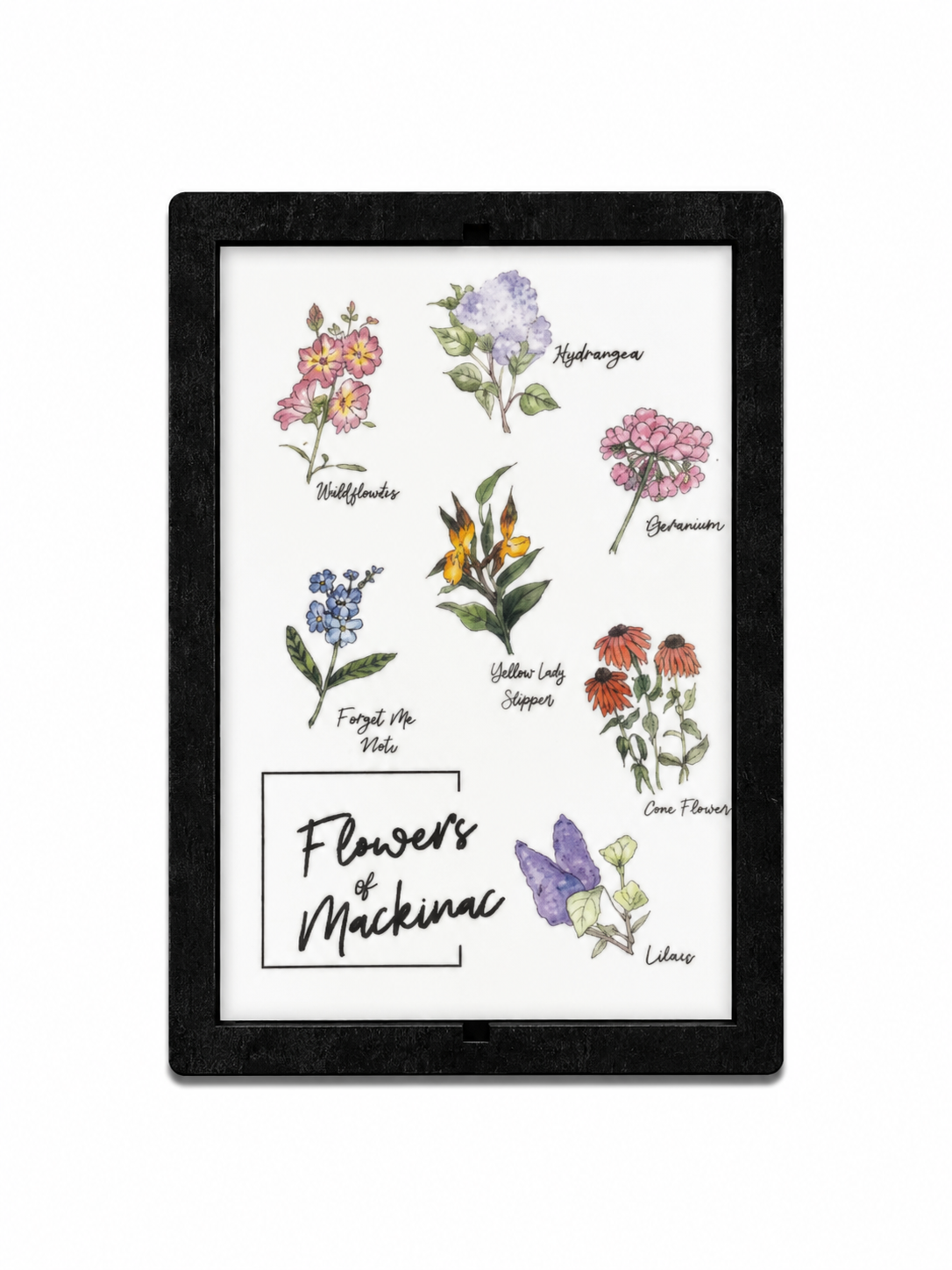 Flowers of Mackinac Magnet
