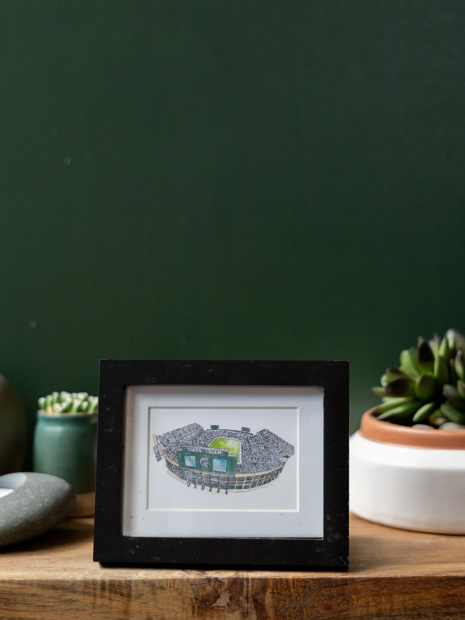 Tiny Frame MSU Spartan Stadium