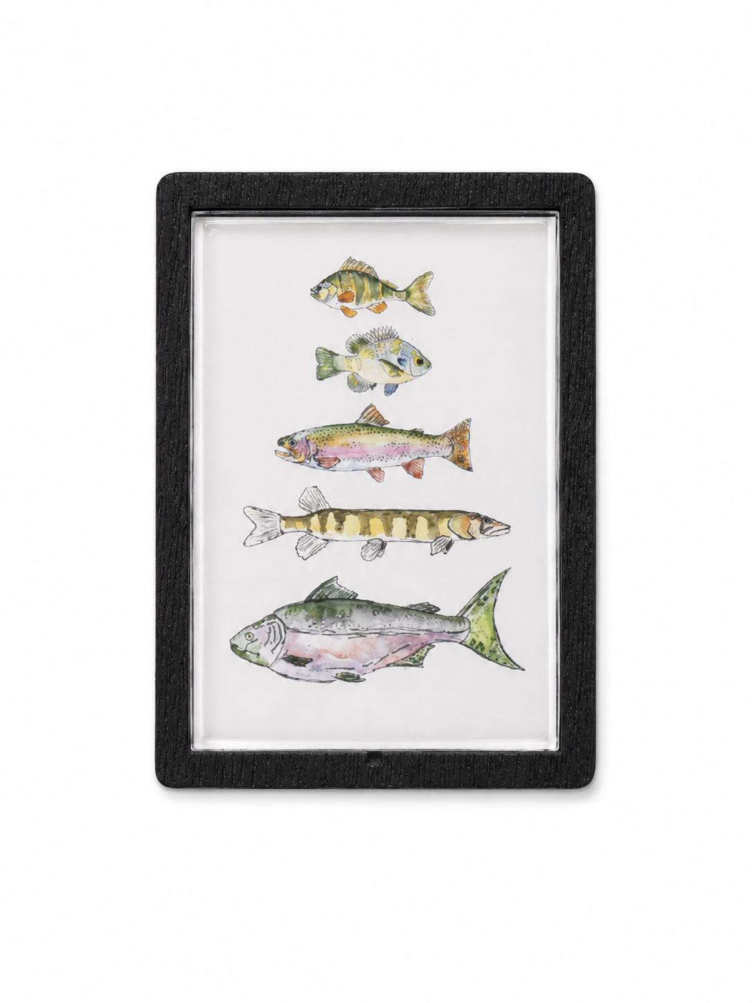 Abigail Leigh Designs Fish Magnet main.png