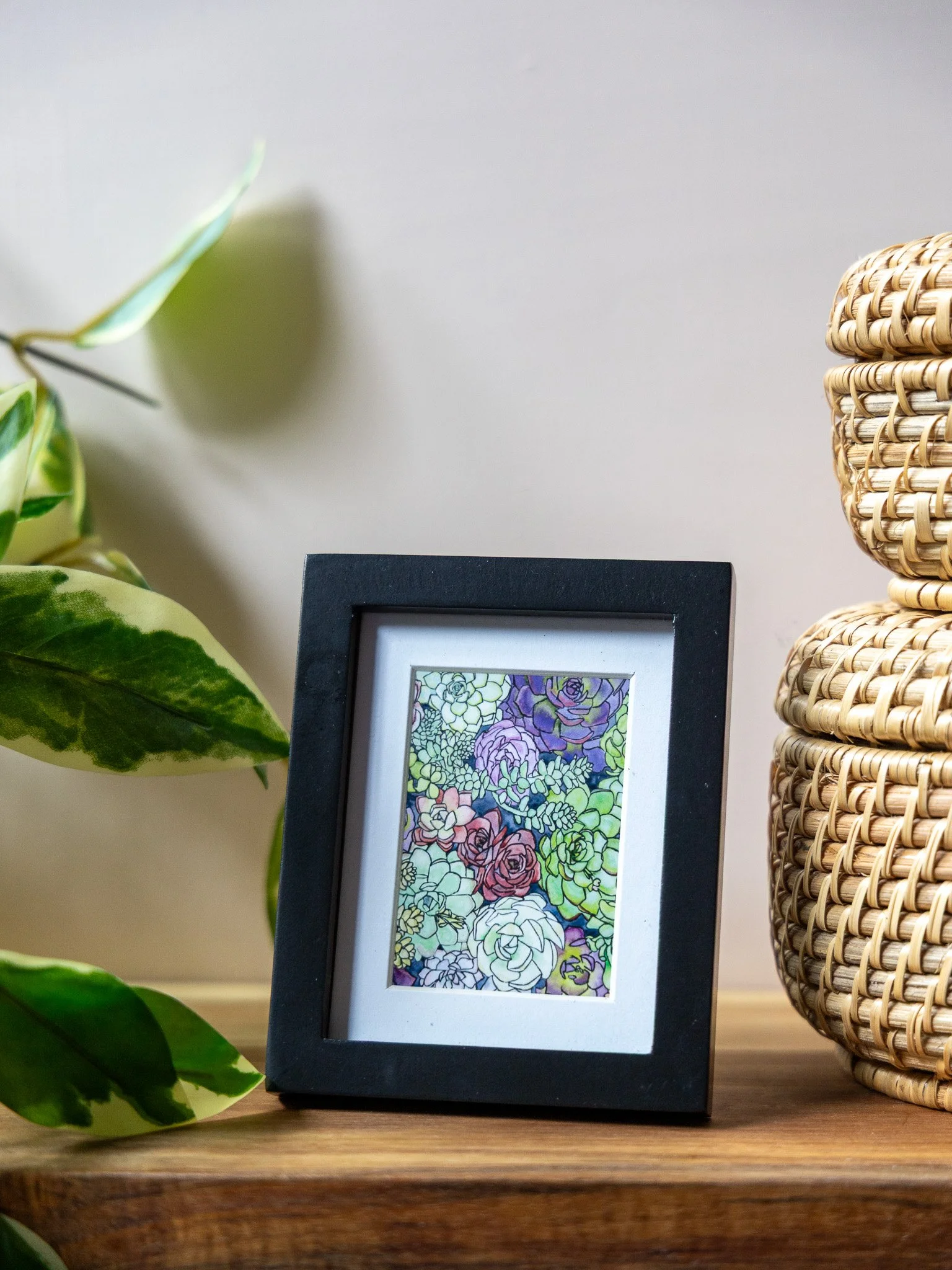 Tiny Frame Succulents