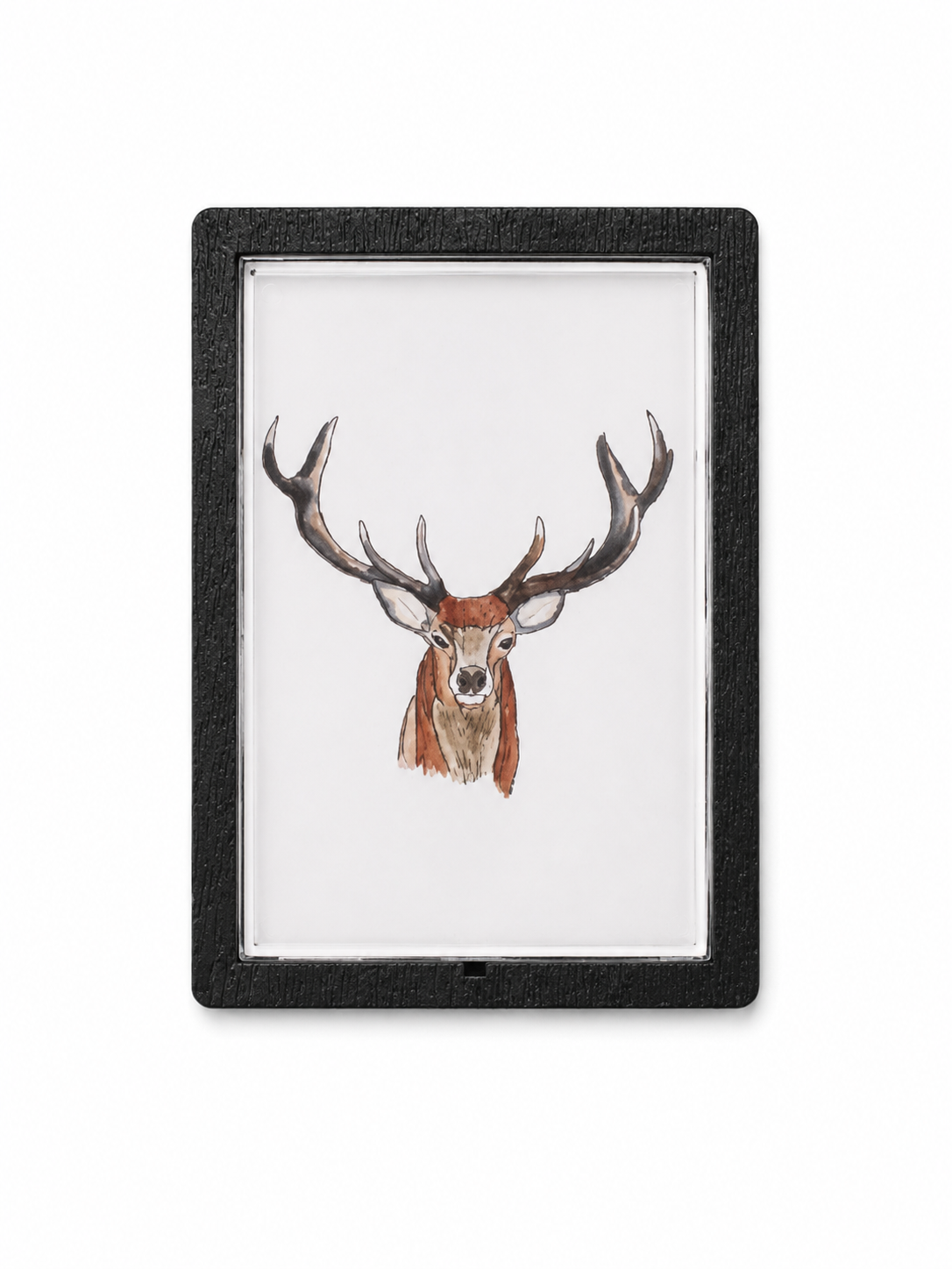 Abigail Leigh Designs Richmond Deer Magnet main.png