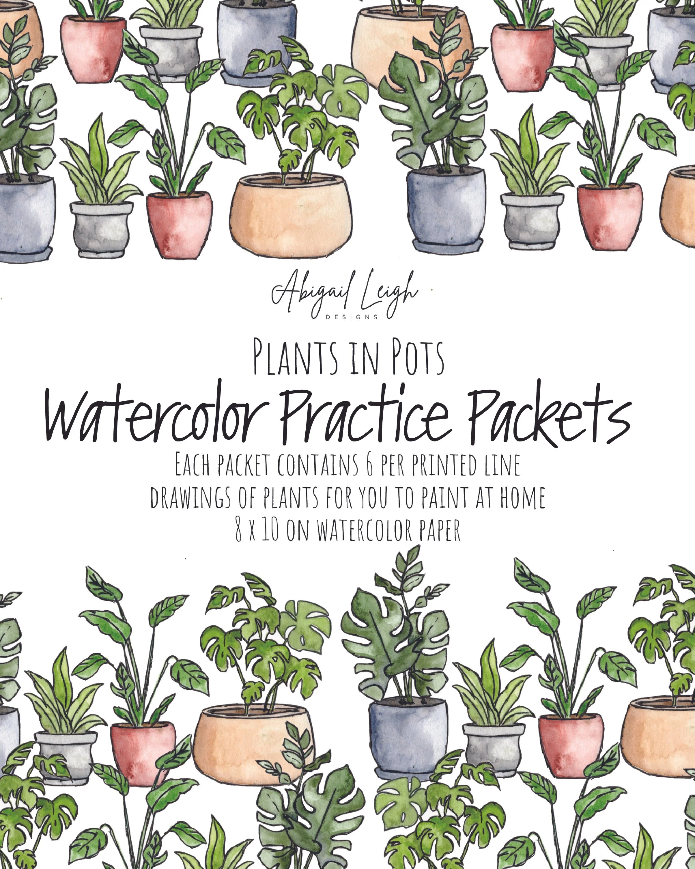 PlantsinPots_frontcover.jpg