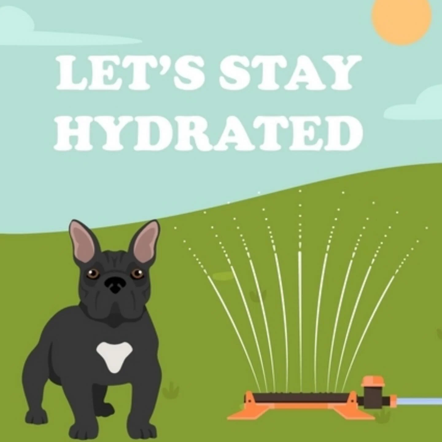 It&rsquo;s already that time of year again be aware of the Heat☀️

🔹Check out Our website for more helpful information and stay updated with us!!

https://www.houstonexoticfrenchies.com/

❗️DM for Inquiries ❗️

☑️AKC Certified 📑
☑️ Perfect zStructu