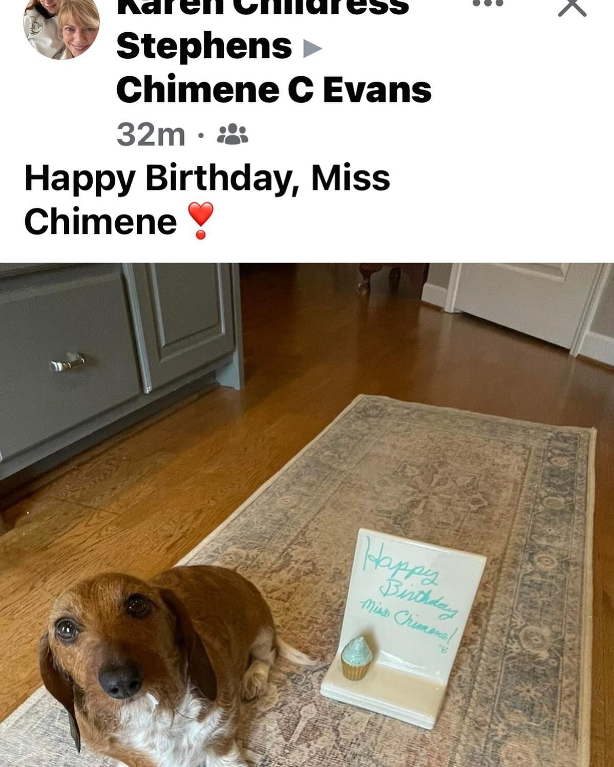 Best birthday wishes ever from my friend Ollie !! Love you Ollie !!🐾🐾🐶🐶🐶