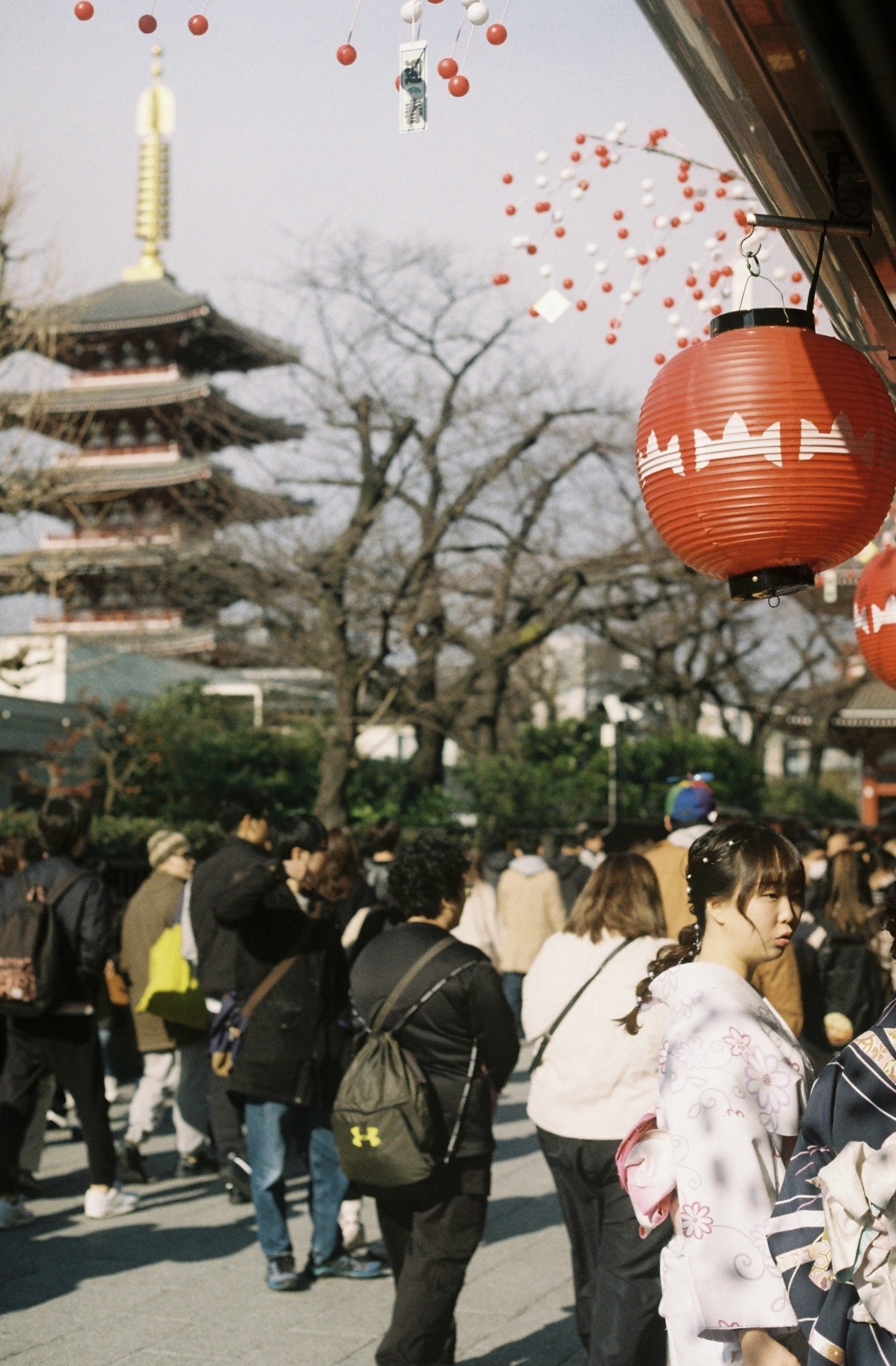 2A4D4C9A-DF09-4B2F-AAD4-6F34AEF0E405 2.jpg