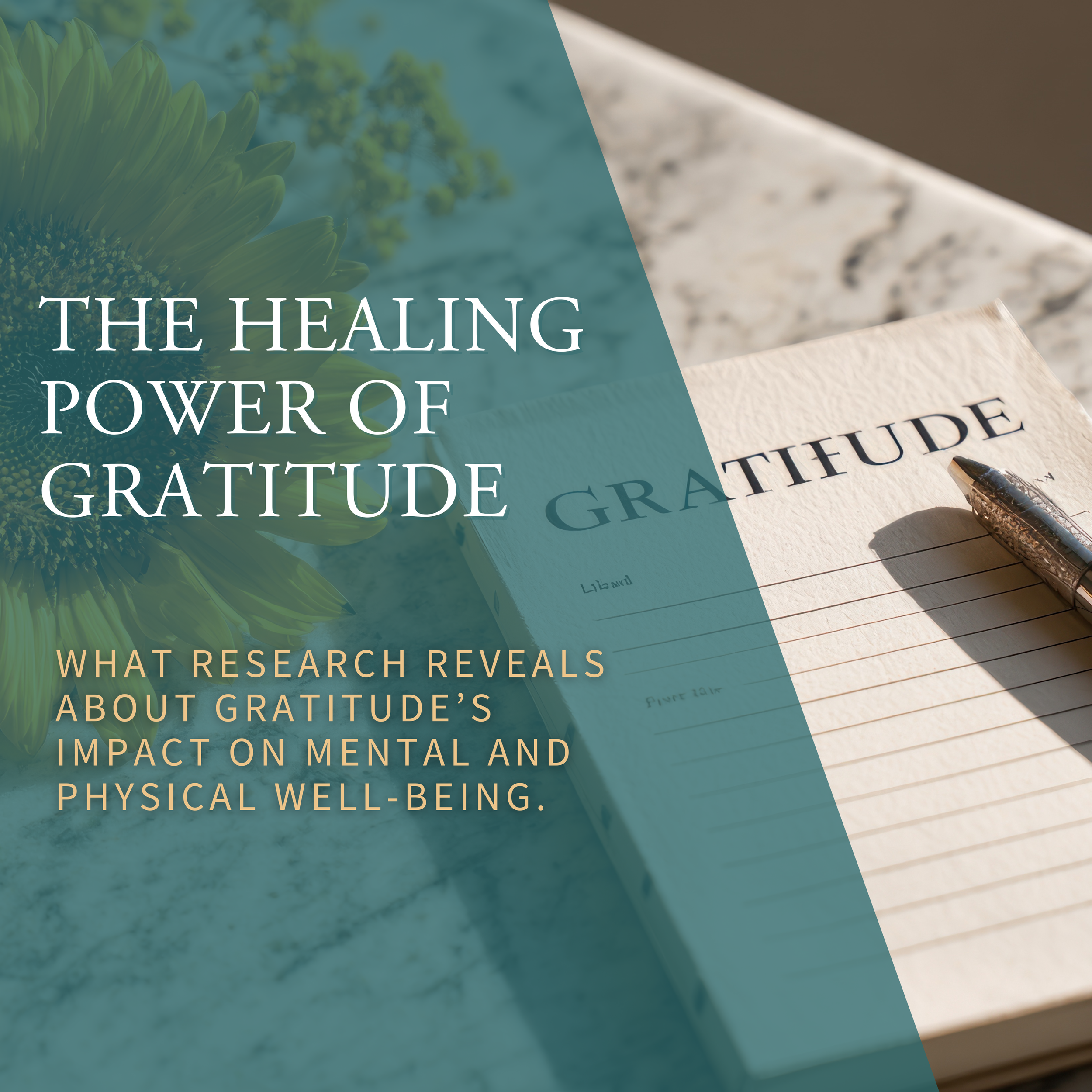 The Healing Power of Gratitude