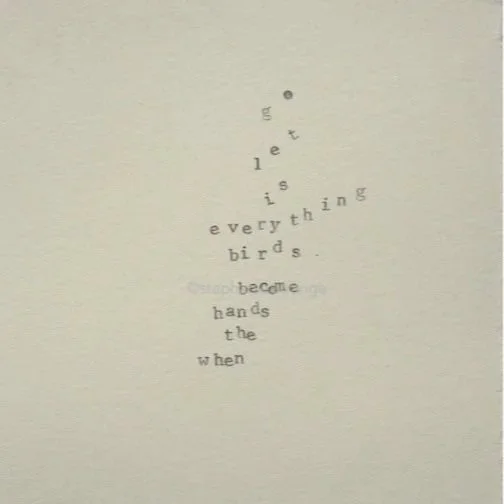 bird hands  |  typed poetry
