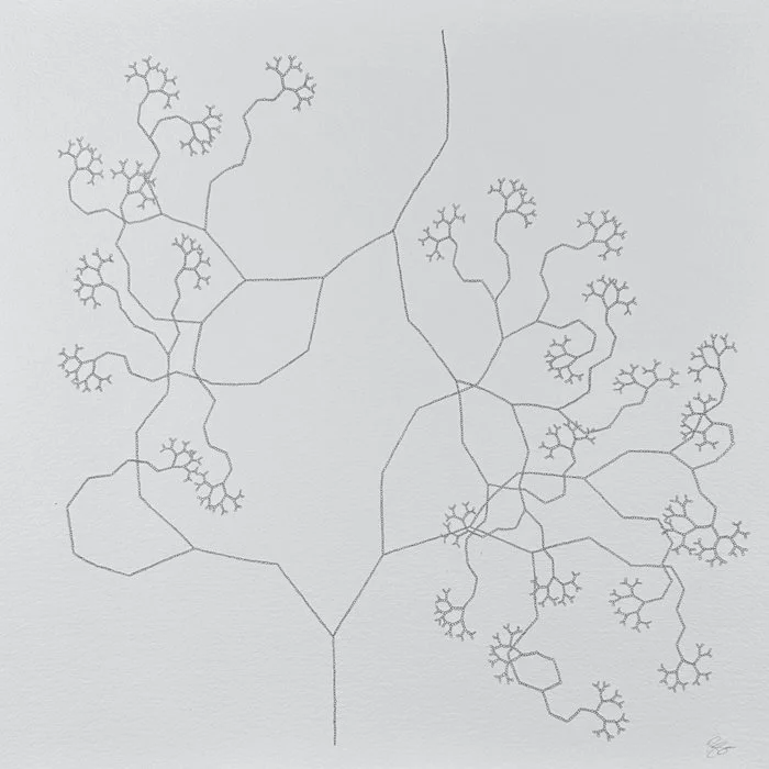 Free Will 02  | 14" x 14"  |  graphite on paper