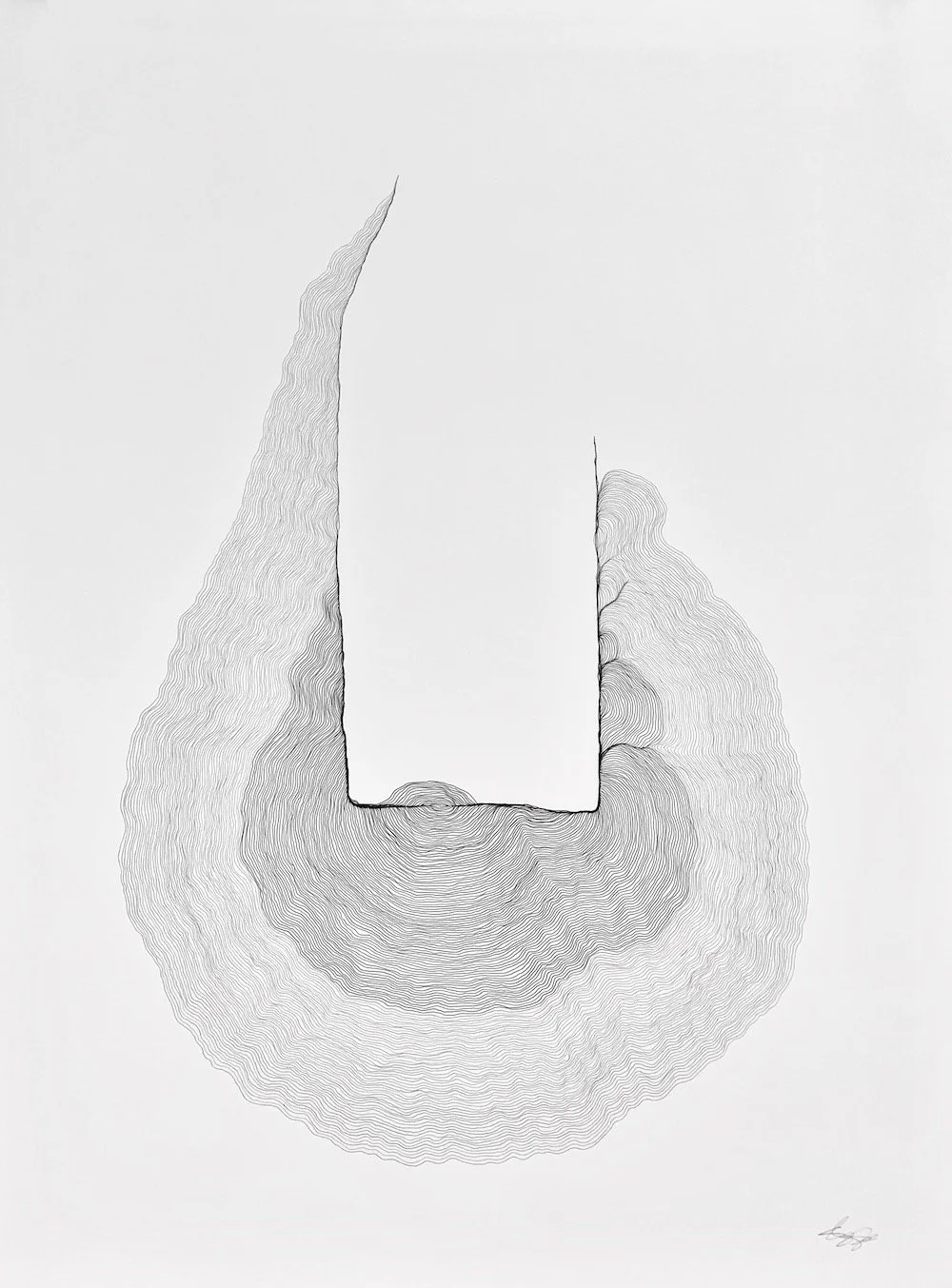 Vessel Of Feathers  | 30" x 23"  |  graphite on paper