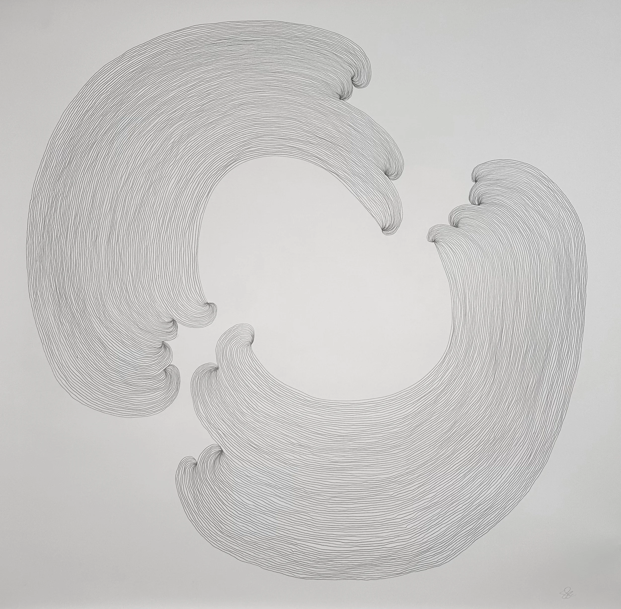 Sunrise Moonset  |  45" x 45"  | graphite on paper