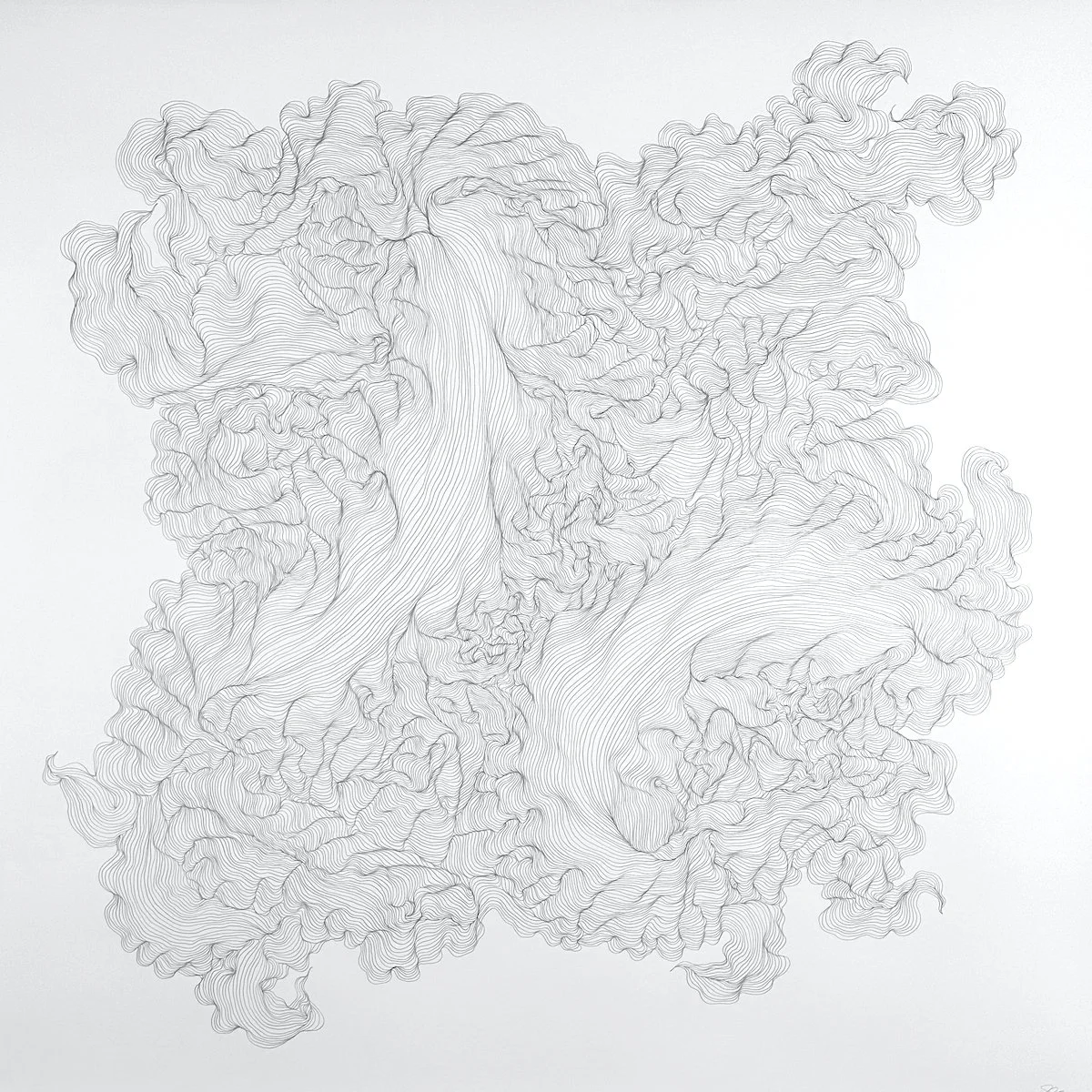 Observation Point  | 48" x 48"  |  graphite on paper