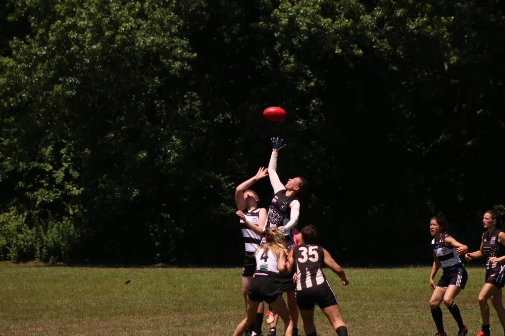 New York Magpies