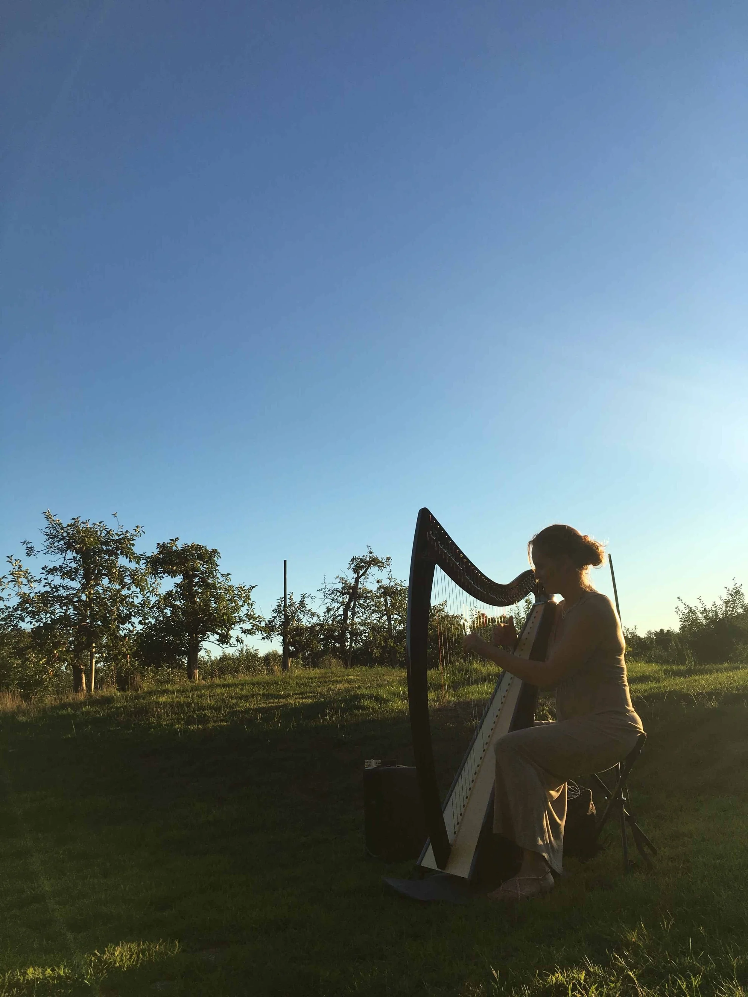 Shelley-Otis-Best-Boston-Wedding-Harpist-Wedding-Deals2-e1600726755595.jpeg
