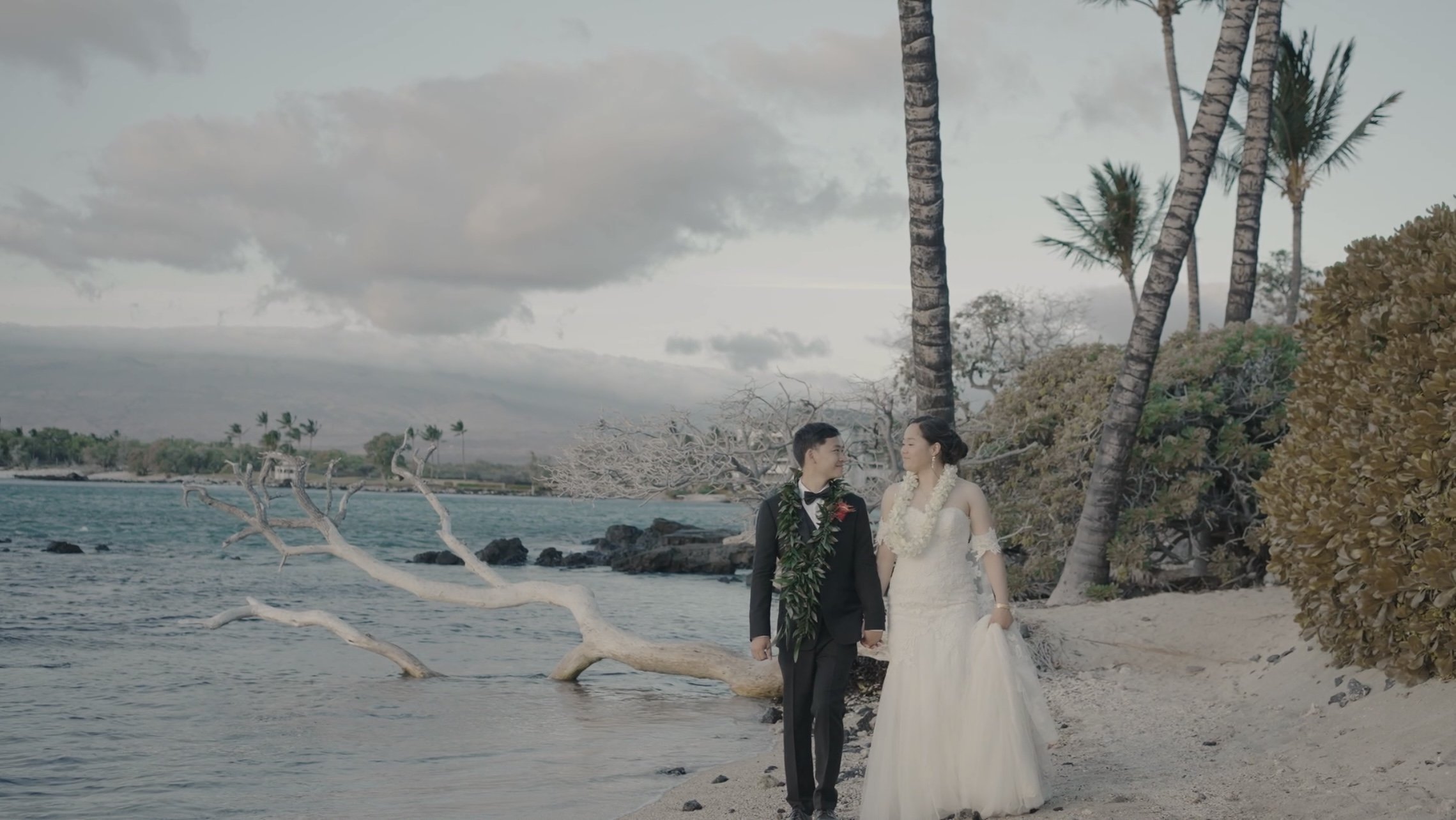 Jimmy-Shin-Films-Best-Southern-California-Wedding-Videography-Wedding-Deals8.jpeg