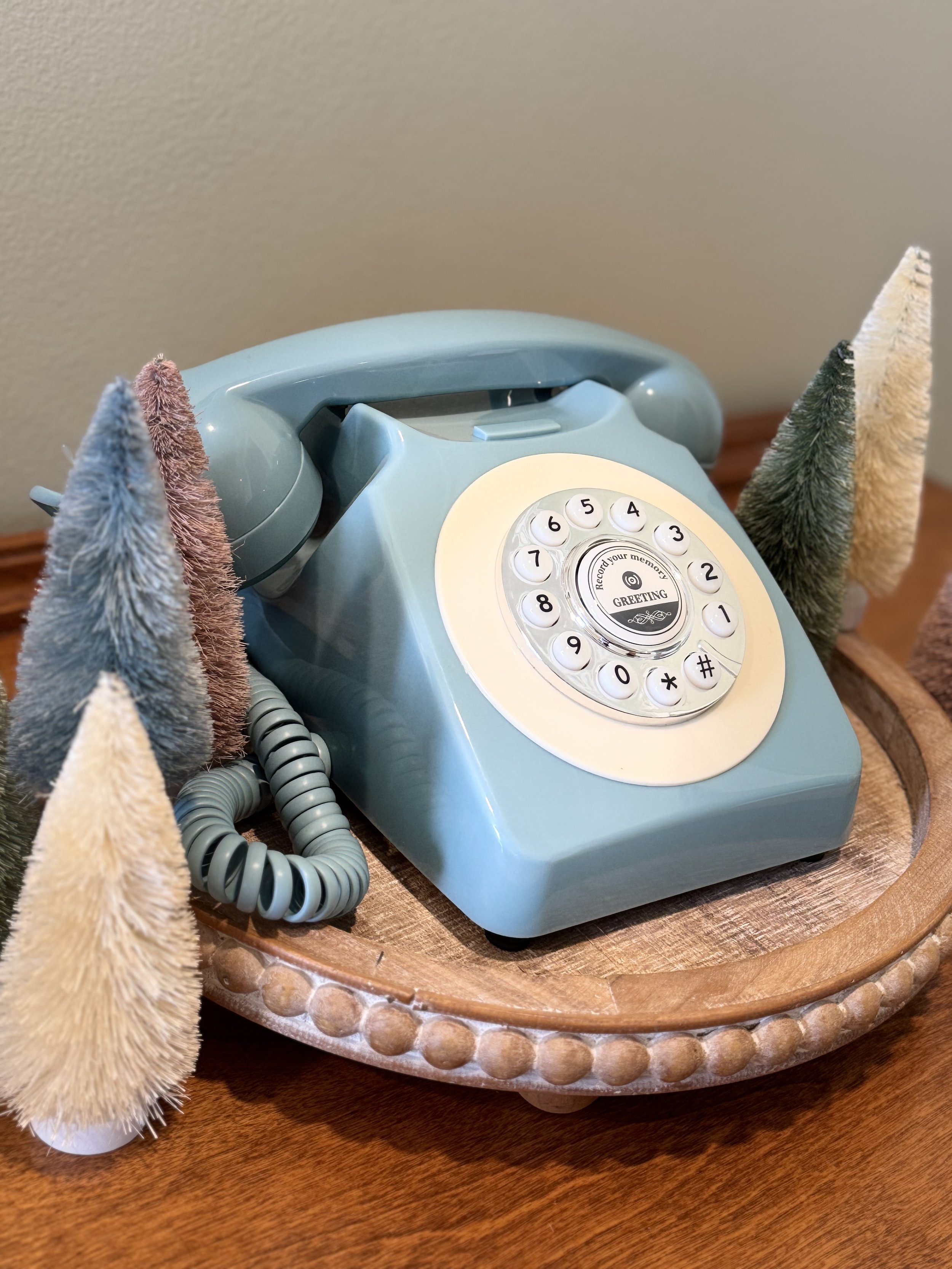 Tiny-Tin-Audiograms-Best-Philadelphia-Wedding-PhotoBooth-Wedding-Deals10.jpeg