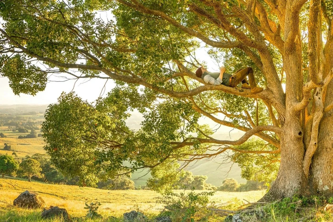 Re-connecting with nature to save earth