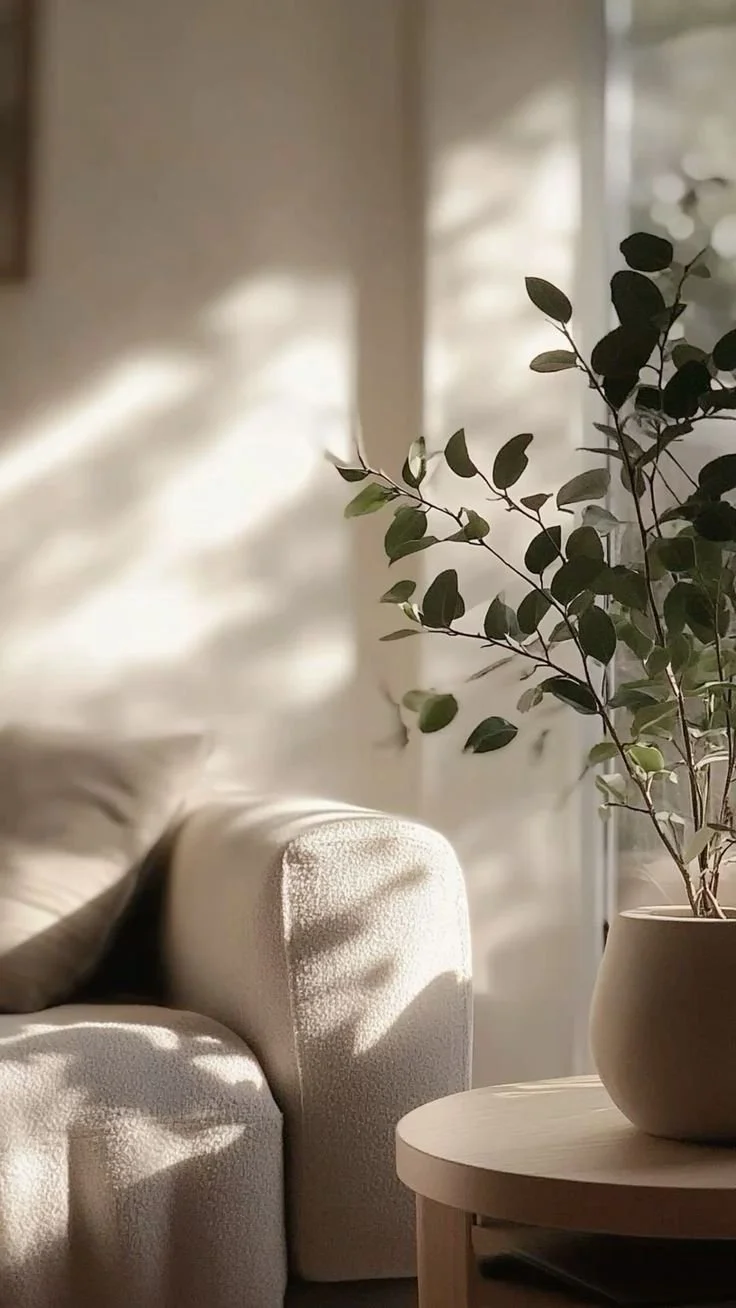 A cozy living room corner with natural sunlight streaming through a window, a beige armchair, and a potted plant on a round table.