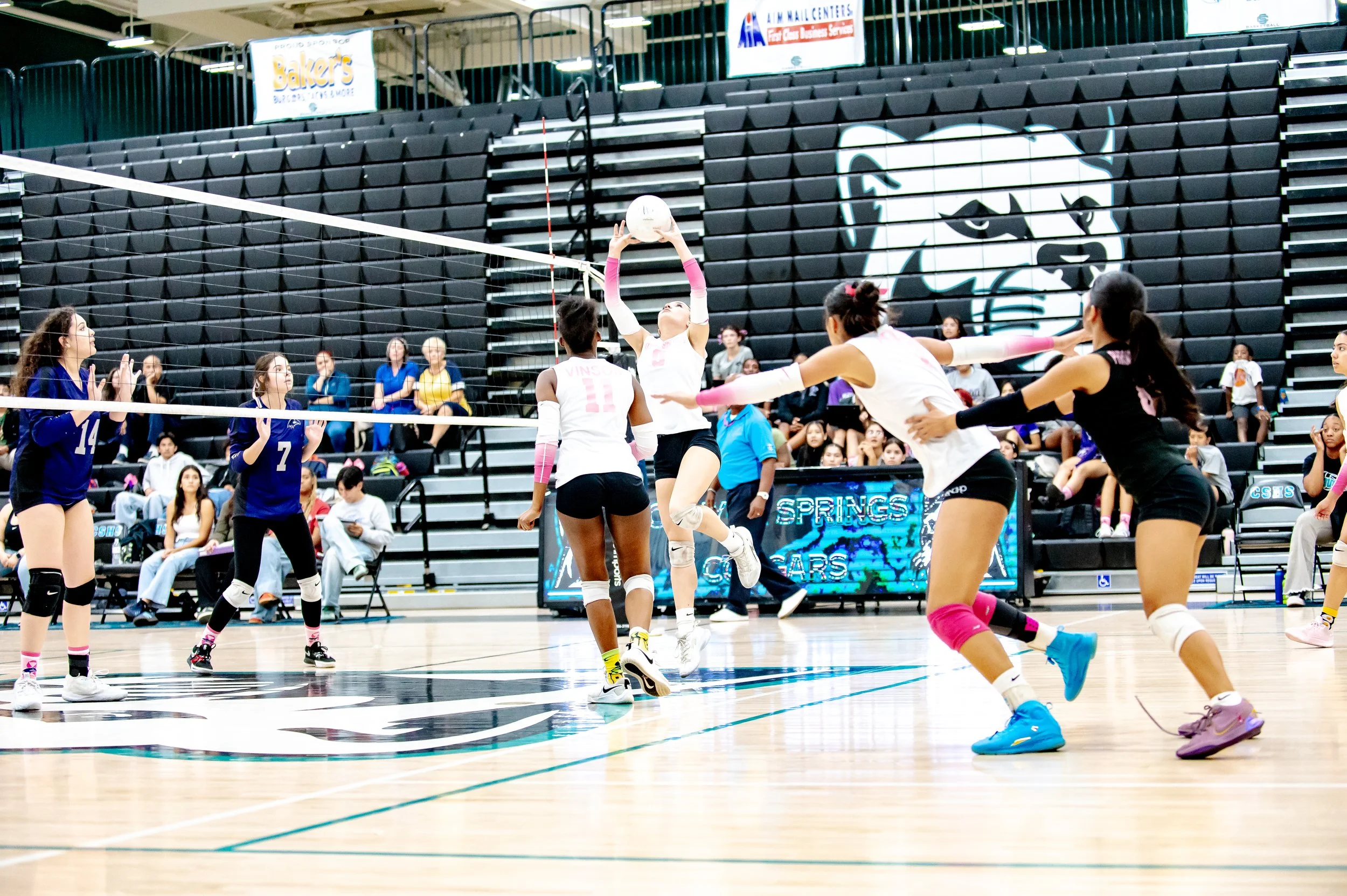Senior Night CSHS vs VDL 2024-768.jpg