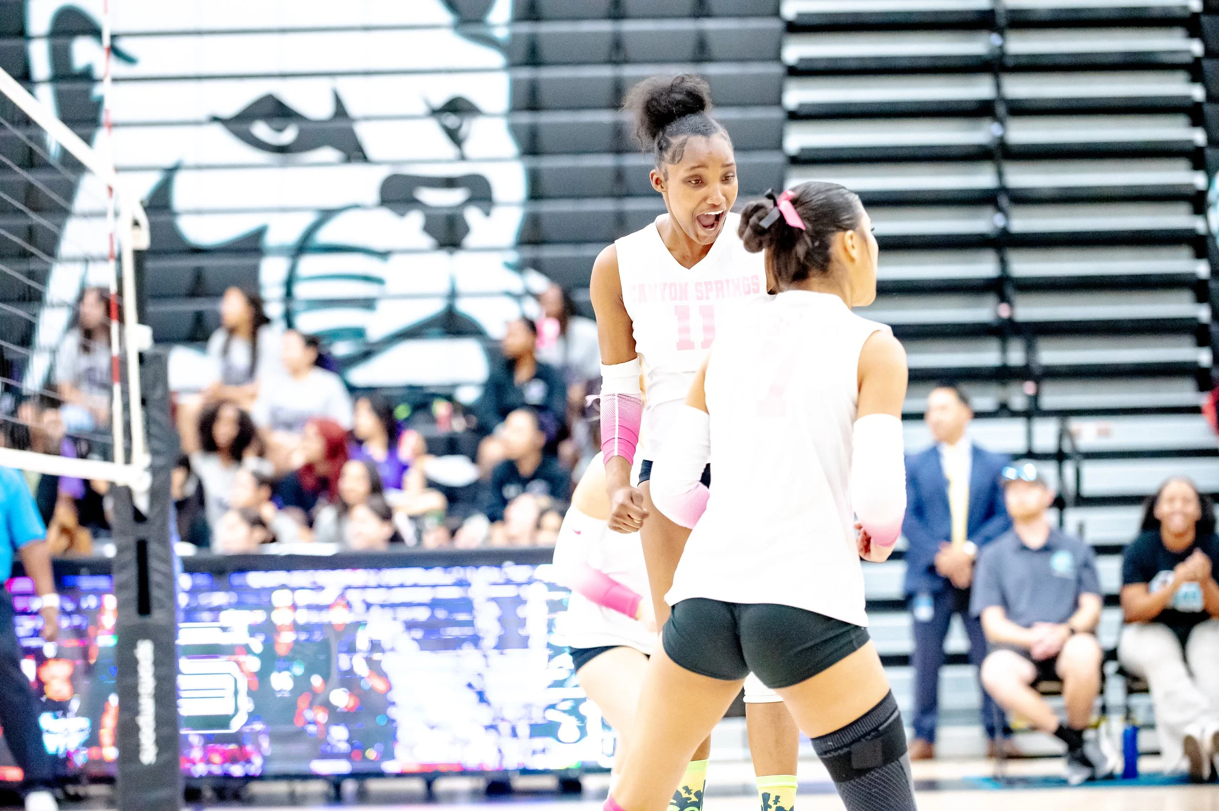Senior Night CSHS vs VDL 2024-372.jpg