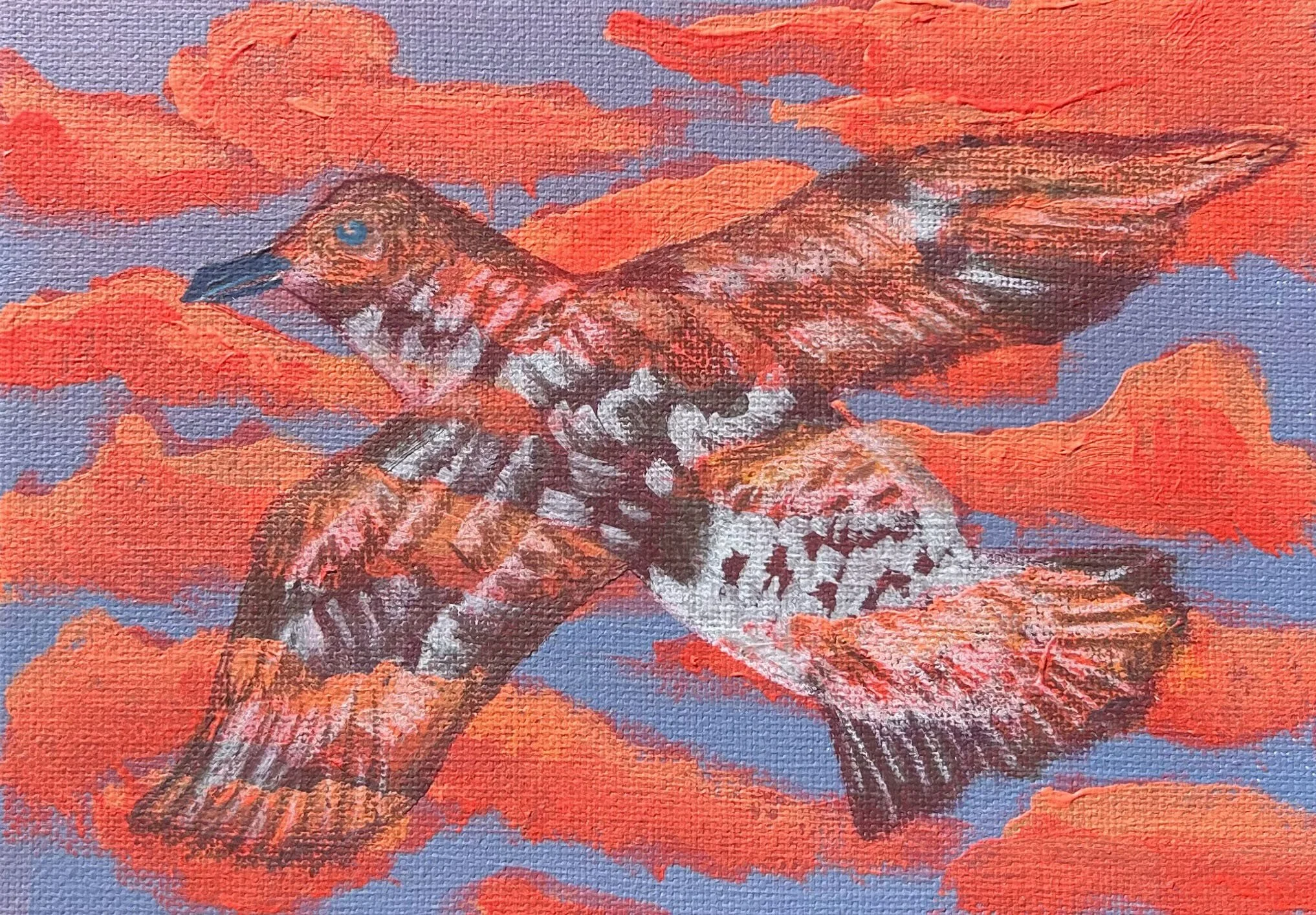 transparent bird.jpg
