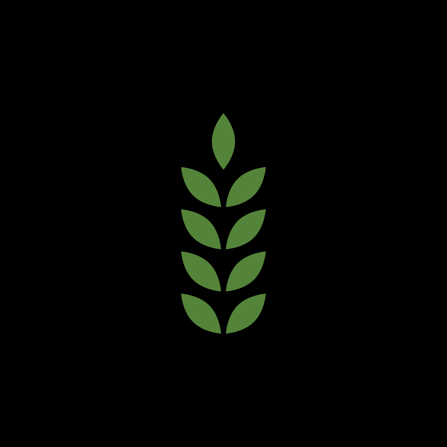 Harvest Church Ft Campbell