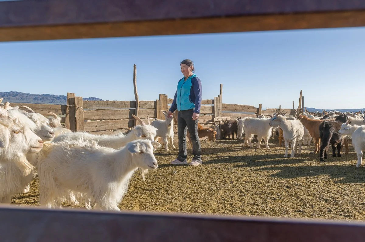 JulianneGauron_Mongolia_007.jpg