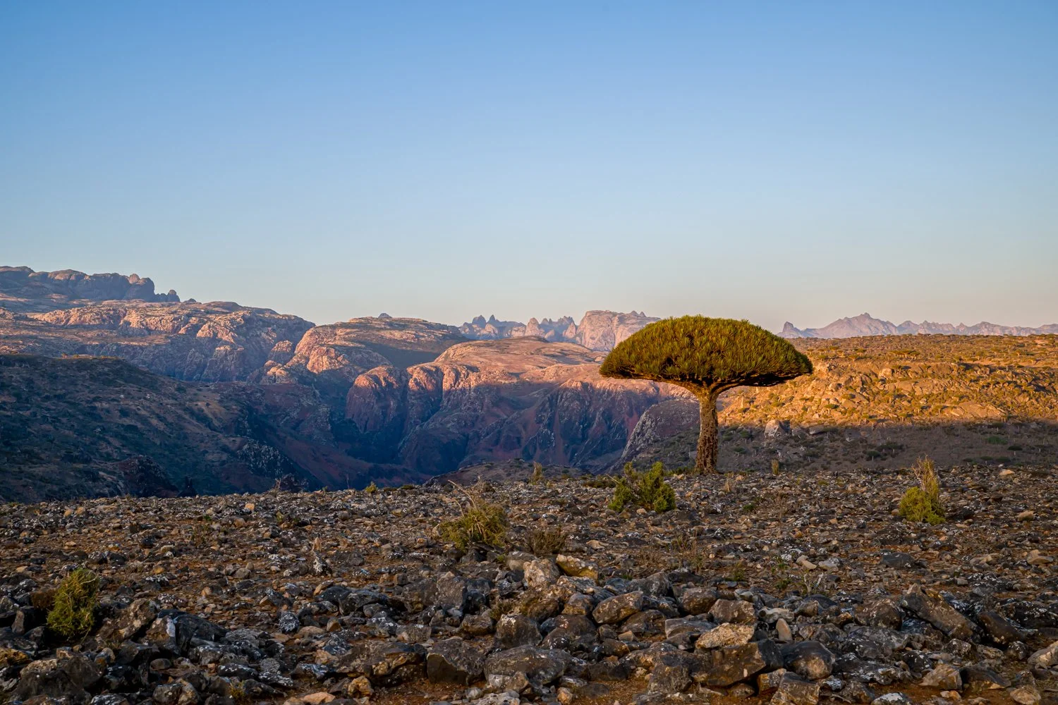 JulianneGauron-Socotra-14.jpg