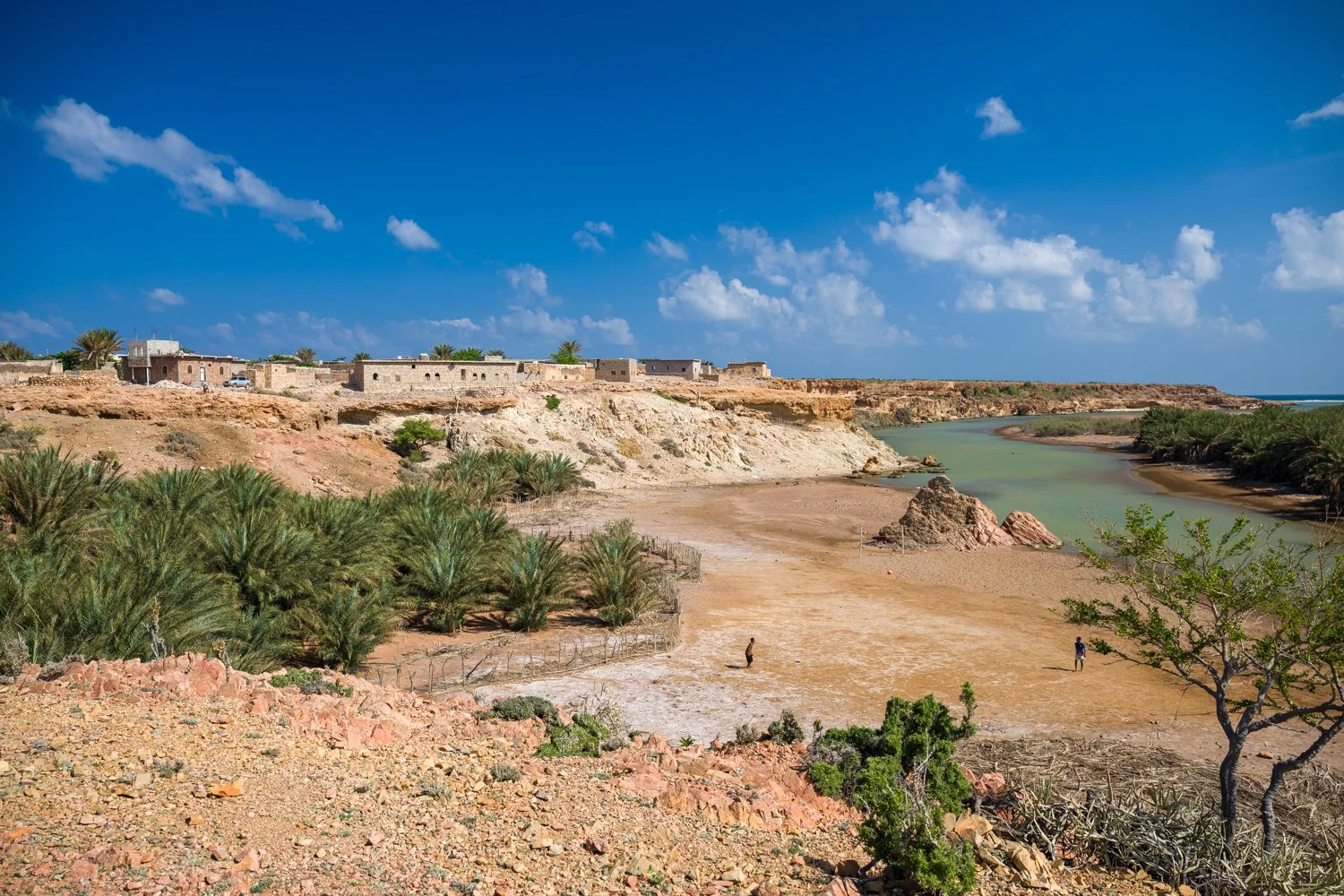 JulianneGauron-Socotra-28.jpg