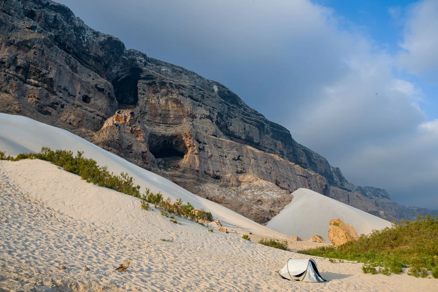 JulianneGauron-Socotra-33.jpg