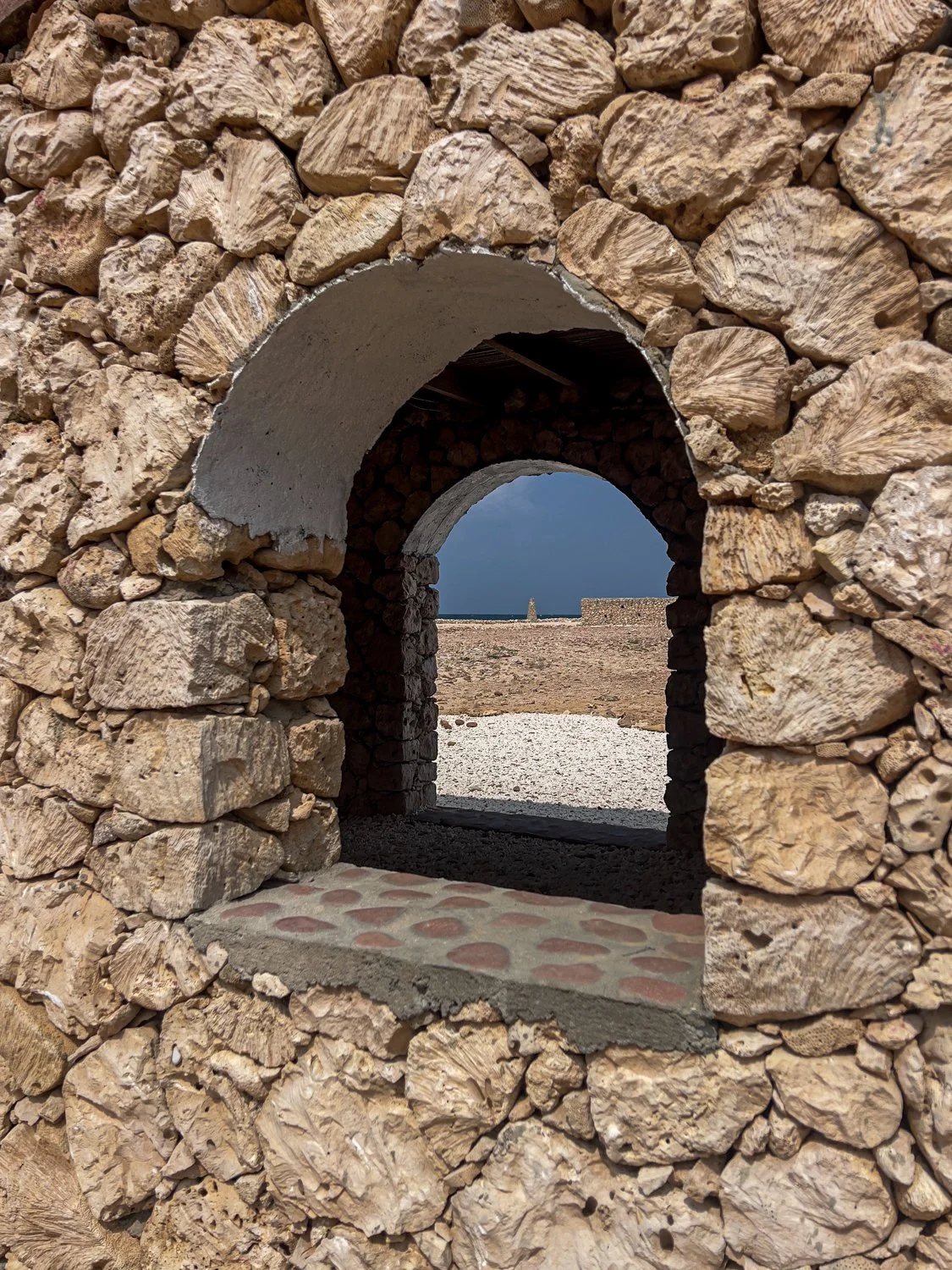 JulianneGauron-Socotra-42.jpg