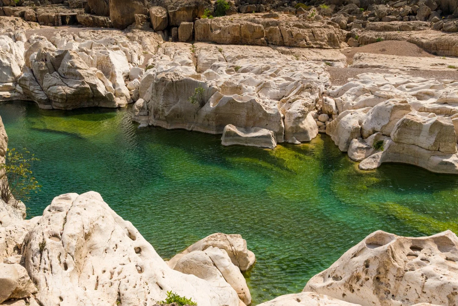 JulianneGauron-Socotra-44.jpg