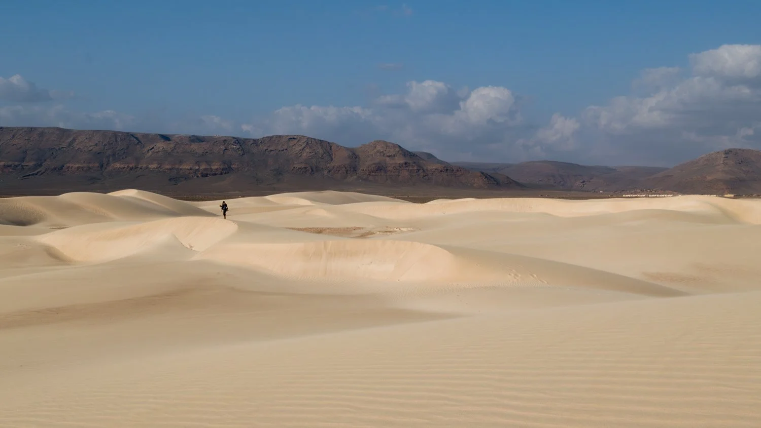 JulianneGauron-Socotra-47.jpg