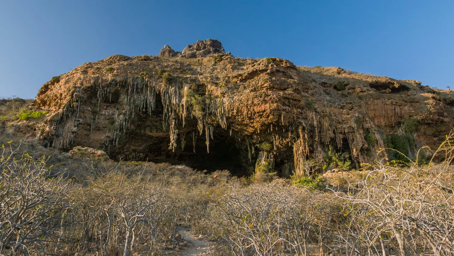 JulianneGauron-Socotra-49.jpg