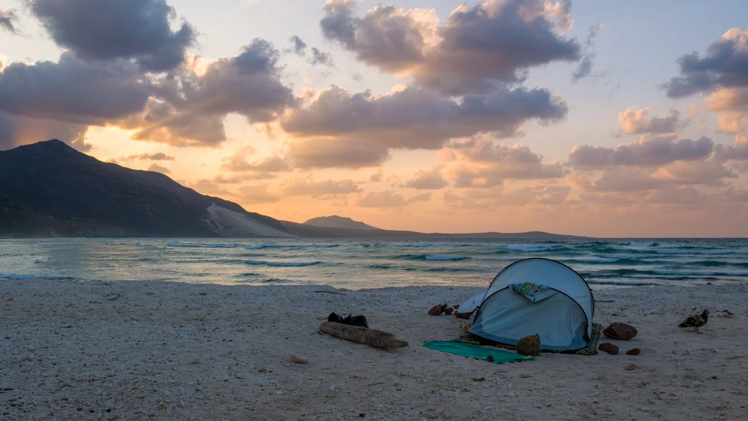 JulianneGauron-Socotra-50.jpg