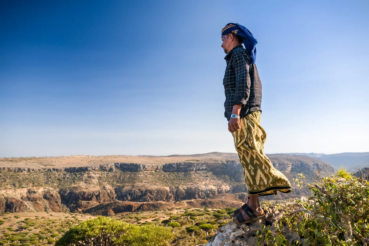 Socotra, a land of mystery