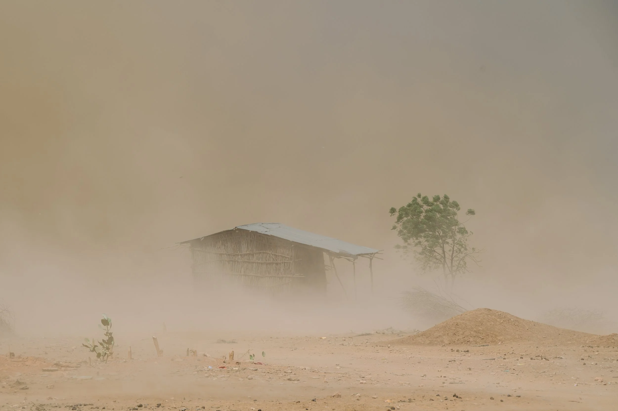 Dust engulfs a home and tree barely visible made worse amid a drought on Friday Jan. 9, 2026, in Sanqotor, Ethiopia.