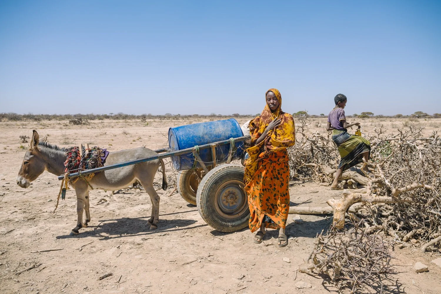  Children seeking water bring their donkey cart to a well, dug into the bottom of what should be a lake, surrounded by thorny brush to prevent livestock from falling in Thursday, Jan. 8, 2026, in Afcadde, Ethiopia. (AP Photo/Julianne Gauron) 