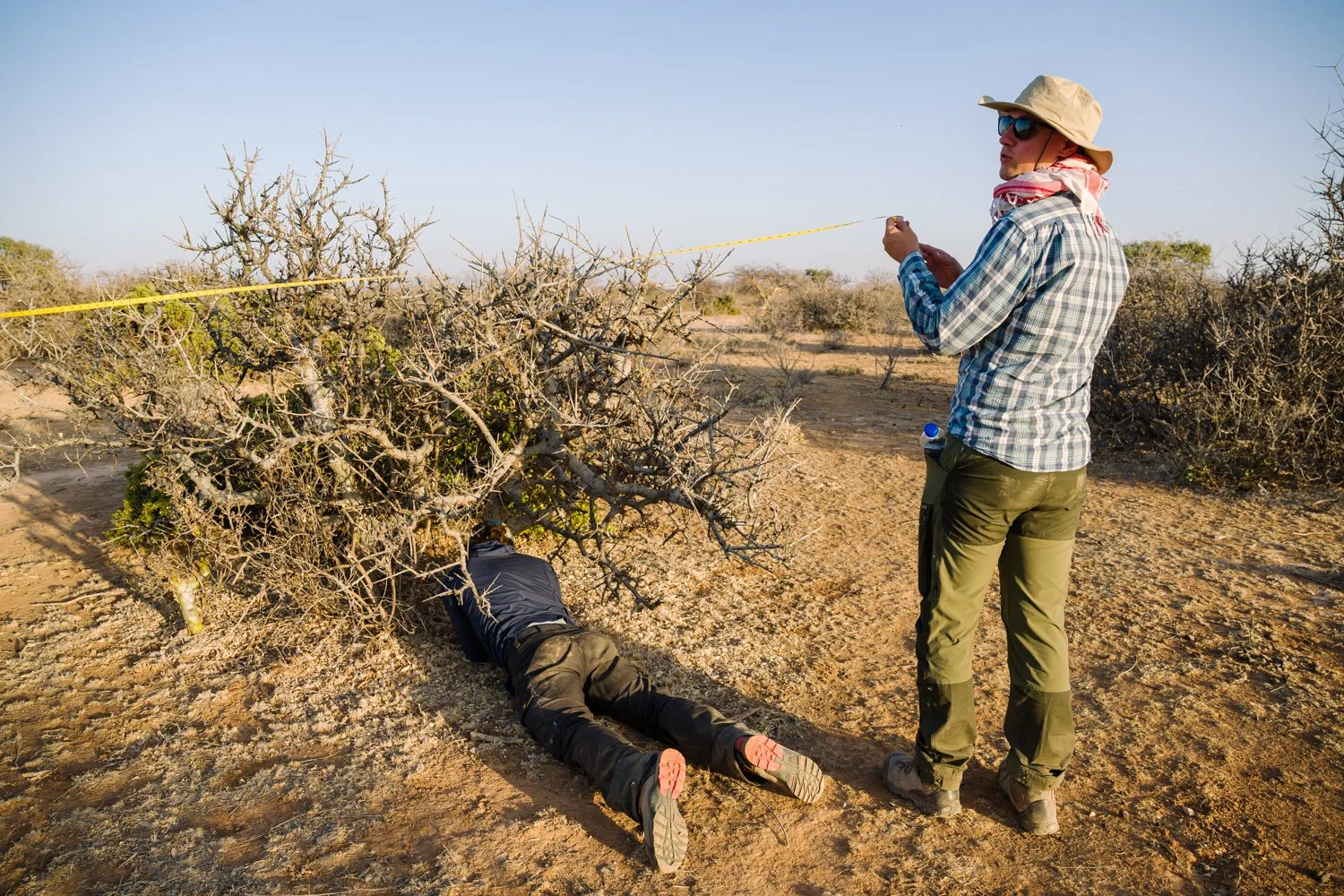  Stephen Johnson and Sam Osborn, bottom, measure a Commiphora myrrha tree during what is called ecological transects, measuring a quadrant, counting the number of trees, measuring their trunk, crowns, as well as health on Wednesday, Jan. 7, 2026, in 
