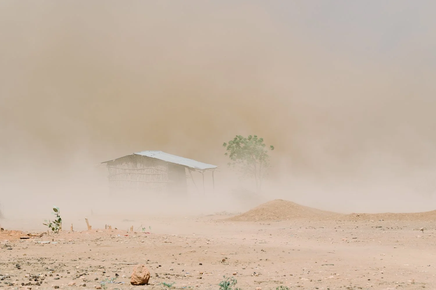  Dust engulfs a home and a tree that are barely visible amid a drought on Friday, Jan. 9, 2026, in Sanqotor, Ethiopia. (AP Photo/Julianne Gauron) 