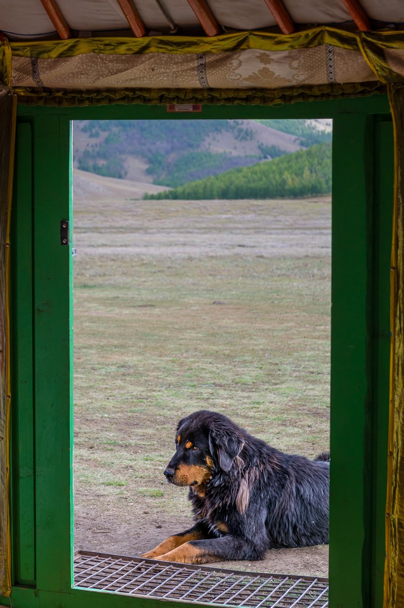 JulianneGauron_Mongolia_024.jpg
