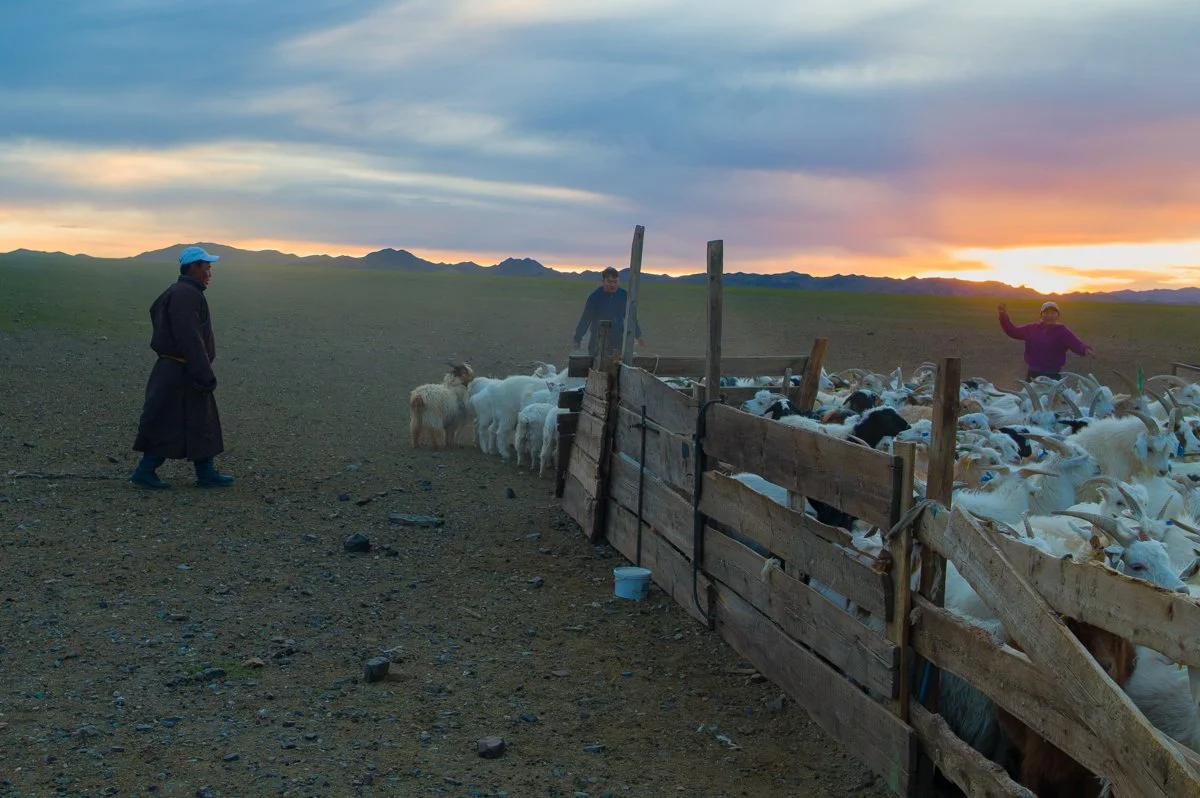 JulianneGauron_Mongolia_016.jpg