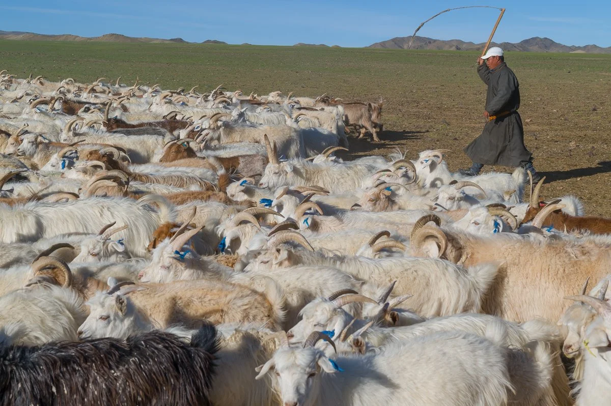 JulianneGauron_Mongolia_013.jpg