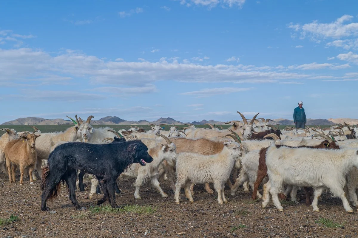 JulianneGauron_Mongolia_017.jpg