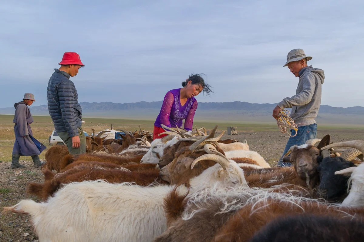 JulianneGauron_Mongolia_021.jpg