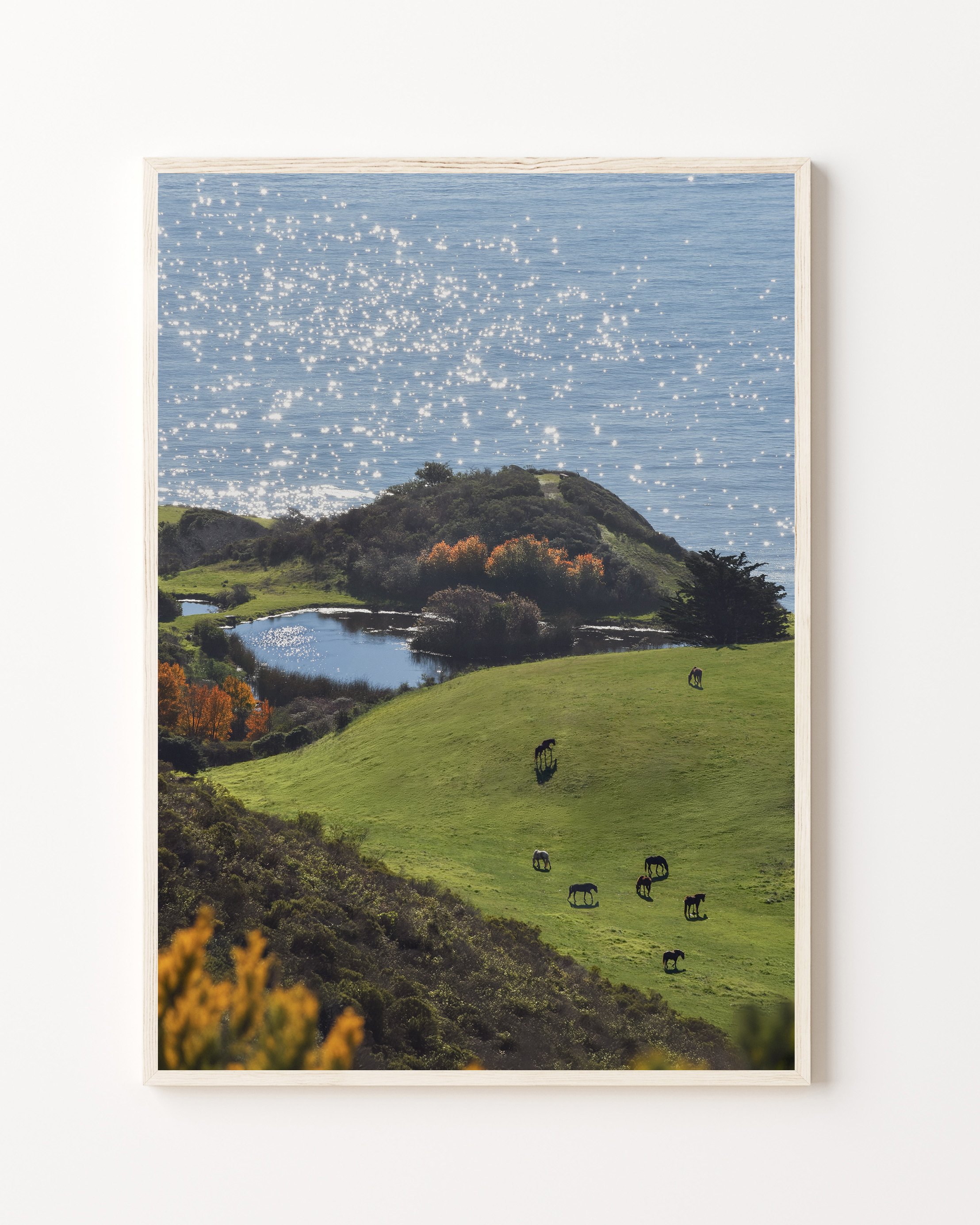pacificpasture.jpg