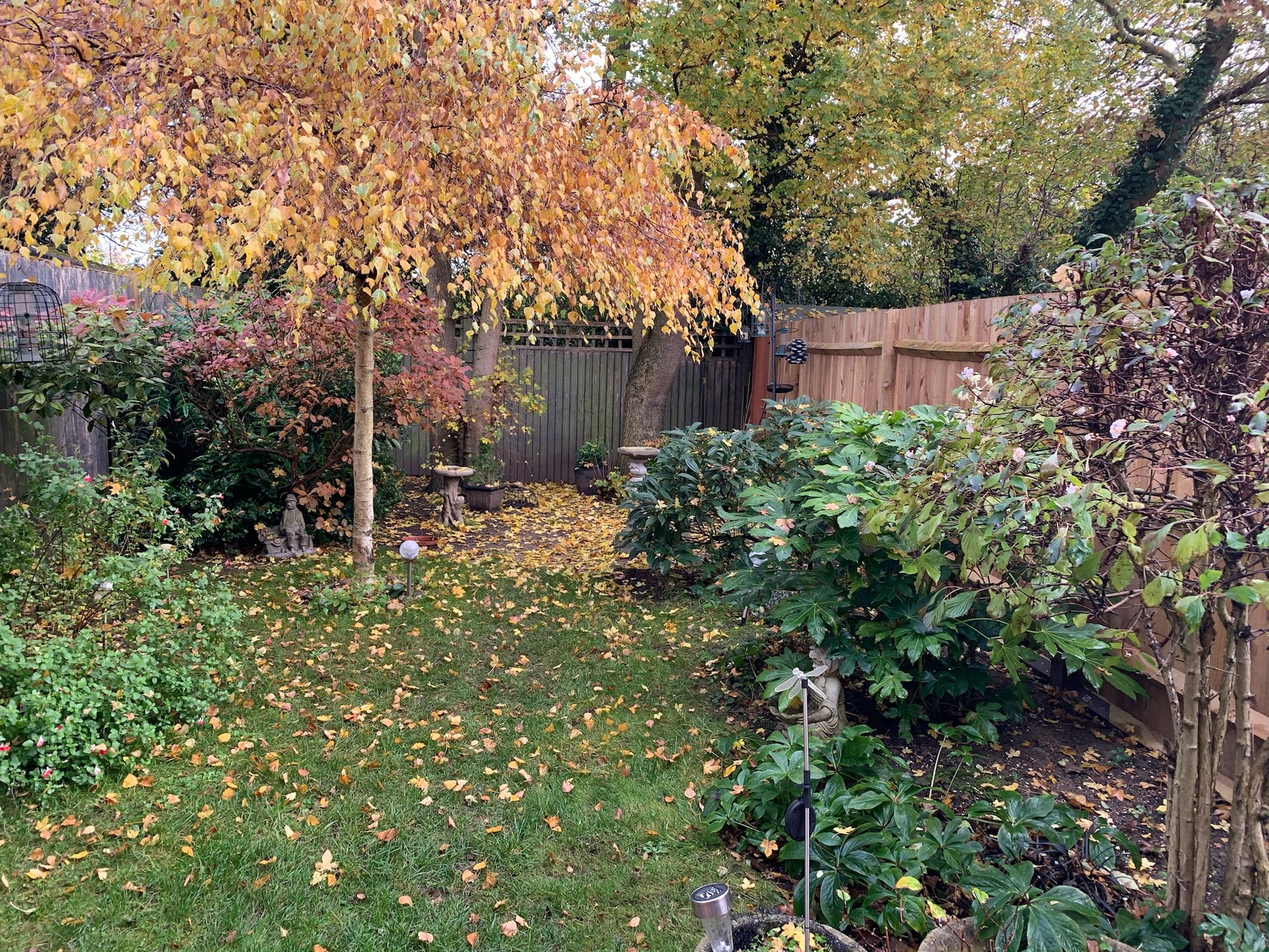 IMG_7730.jpeg