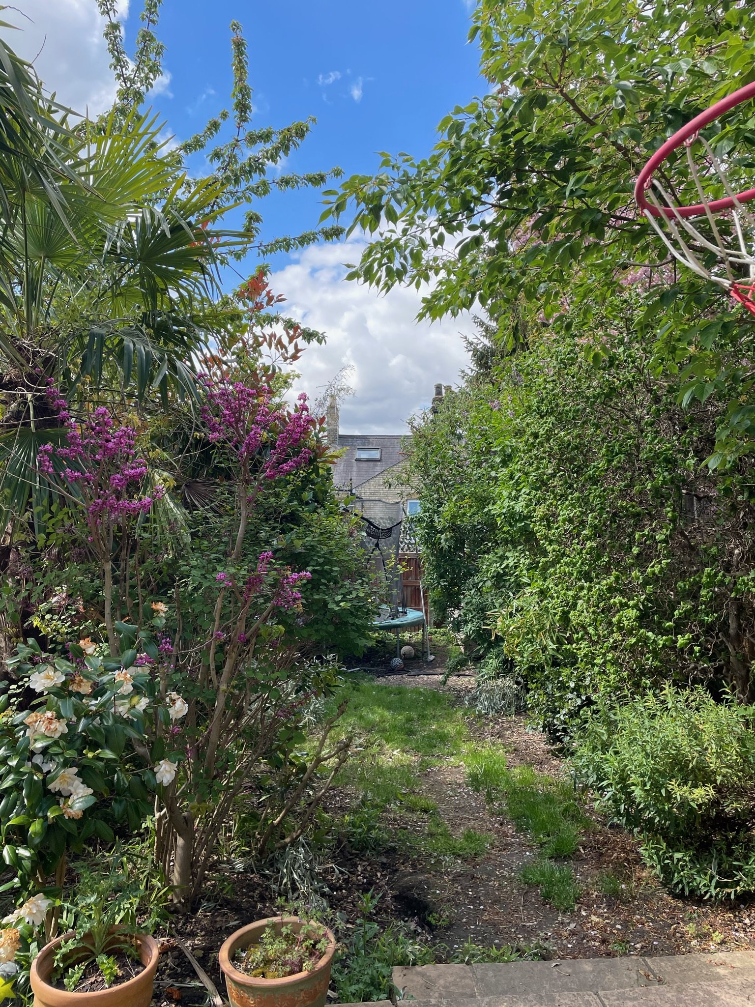 IMG_0222.jpeg